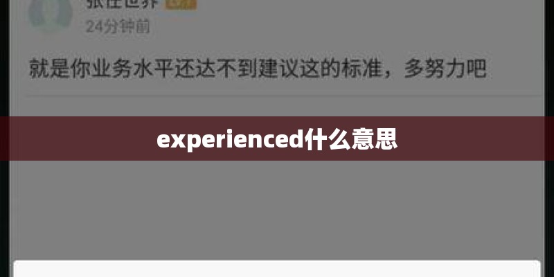 experienced什么意思