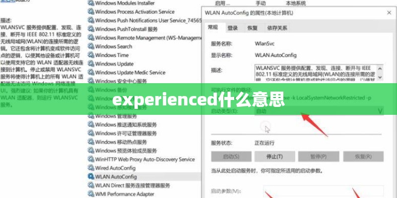 experienced什么意思