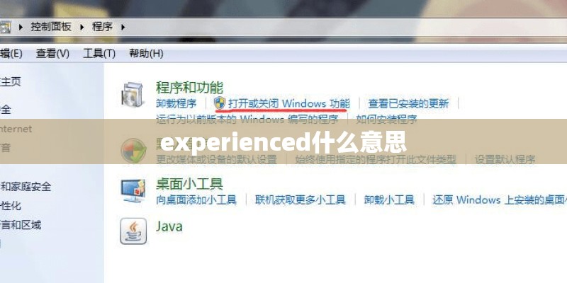 experienced什么意思