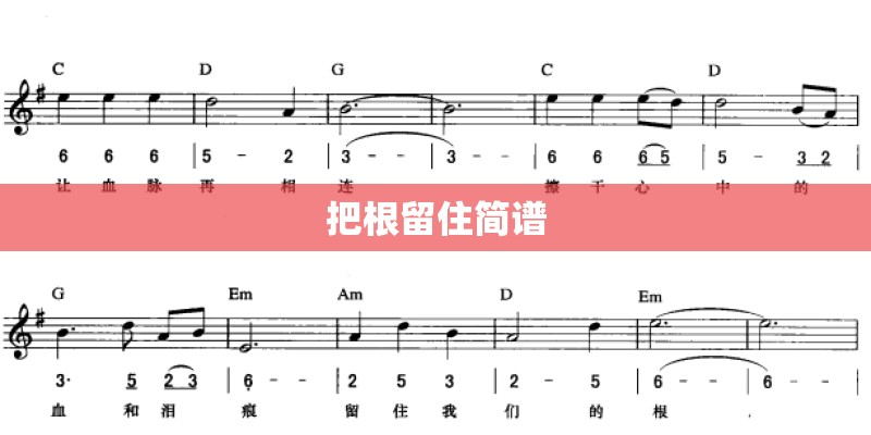 把根留住简谱