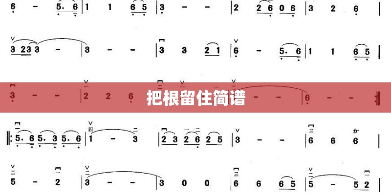 把根留住简谱