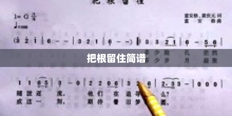 把根留住简谱