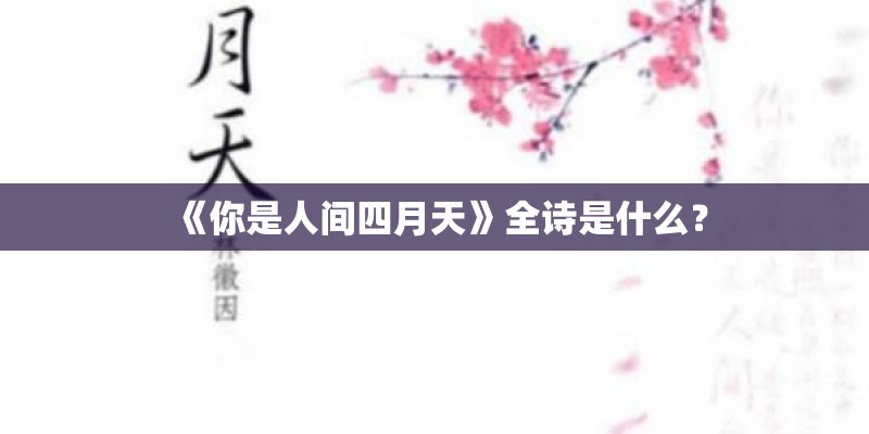 相伴一生歌词