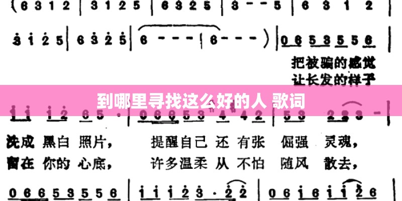 到哪里寻找这么好的人 歌词