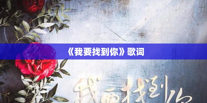《我要找到你》歌词