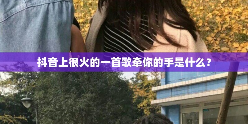 抖音上很火的一首歌牵你的手是什么？