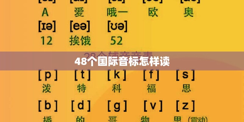 48个国际音标怎样读