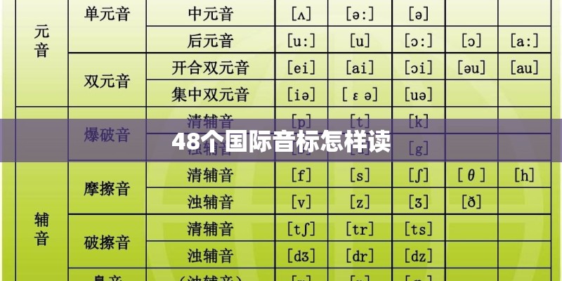 48个国际音标怎样读