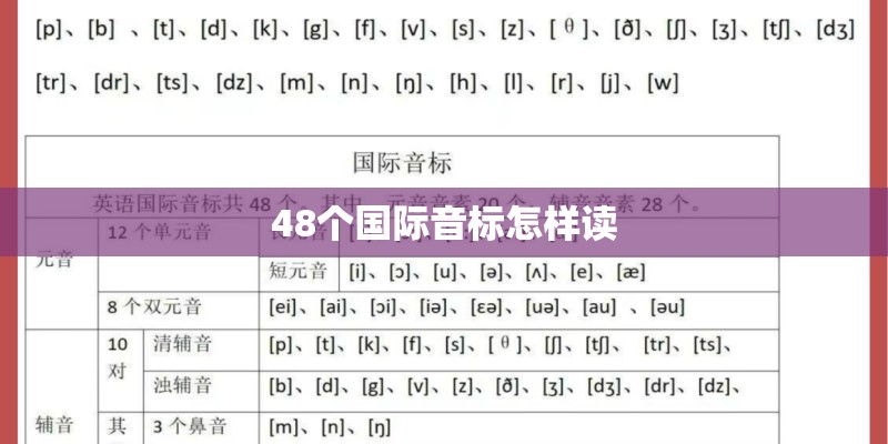 48个国际音标怎样读