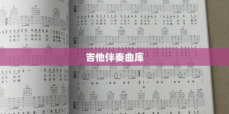 吉他伴奏曲库