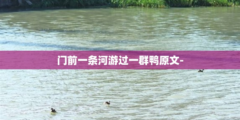 门前一条河游过一群鸭原文-