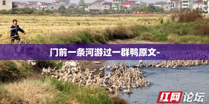 门前一条河游过一群鸭原文-