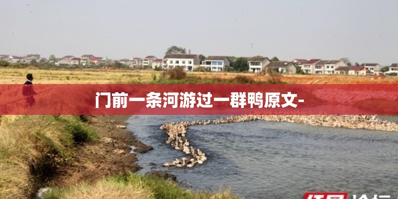 门前一条河游过一群鸭原文-