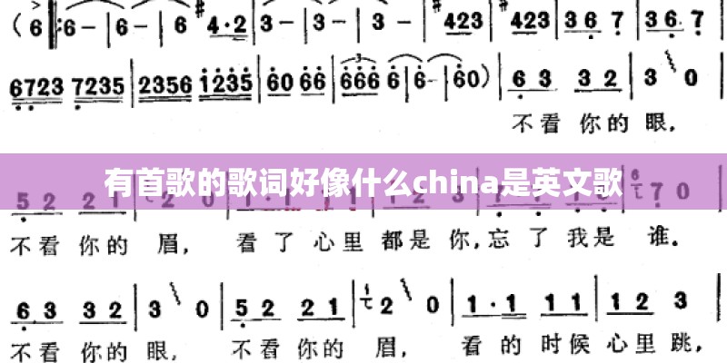 有首歌的歌词好像什么china是英文歌