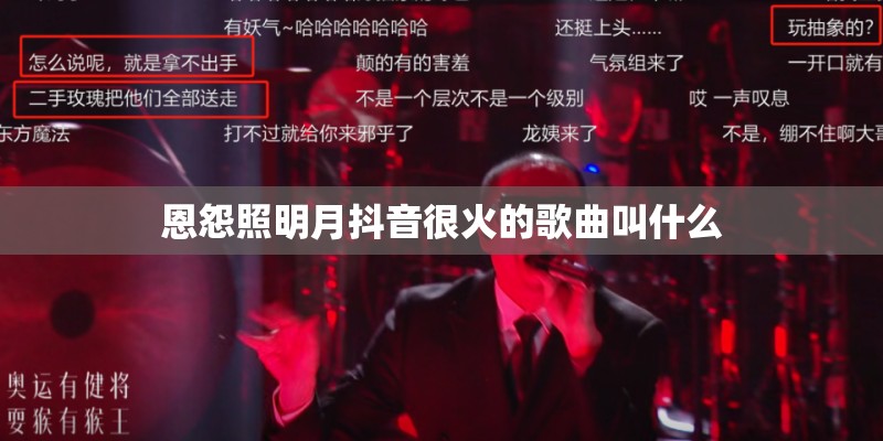 恩怨照明月抖音很火的歌曲叫什么