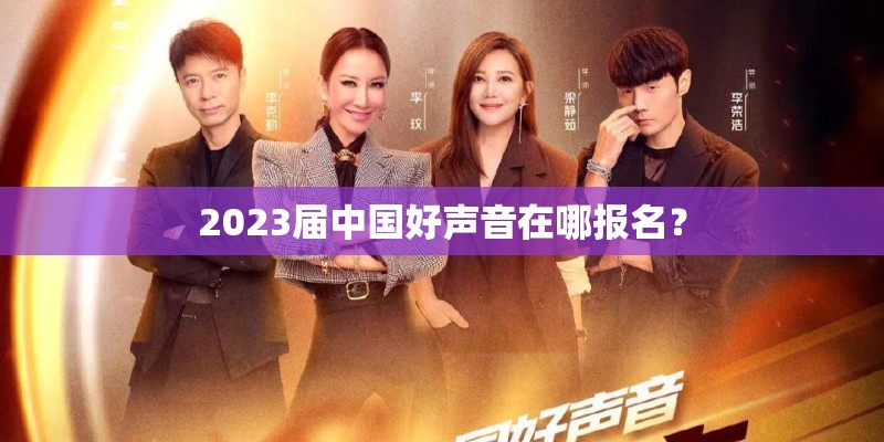 2023届中国好声音在哪报名？