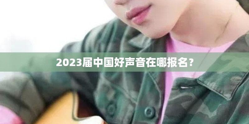 2023届中国好声音在哪报名？