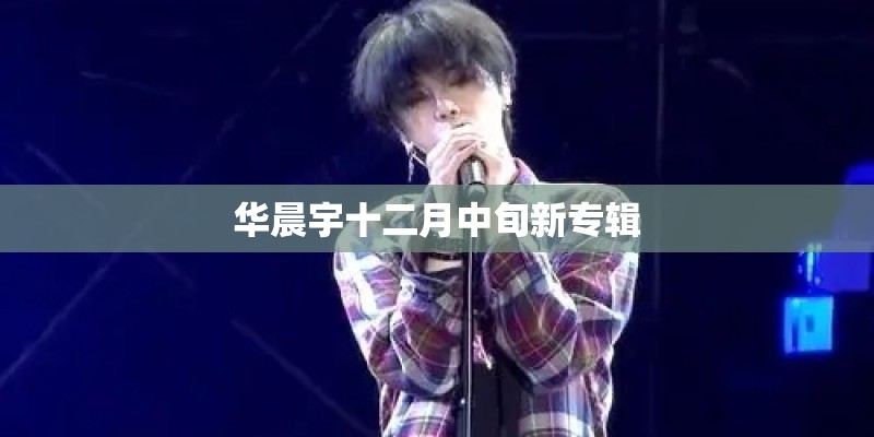 华晨宇十二月中旬新专辑