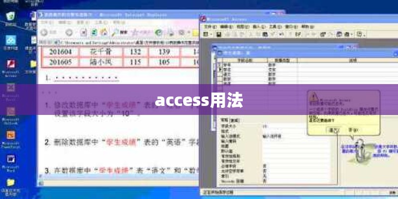 access用法