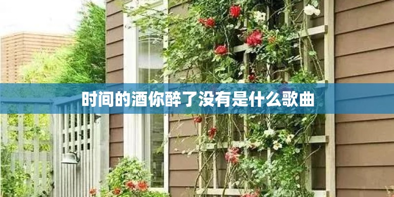 时间的酒你醉了没有是什么歌曲