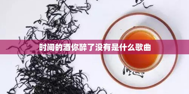 时间的酒你醉了没有是什么歌曲