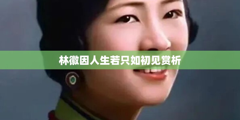 林徽因人生若只如初见赏析