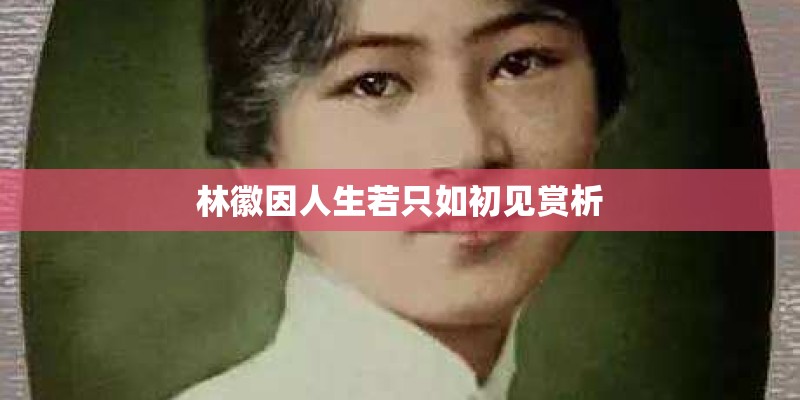 林徽因人生若只如初见赏析