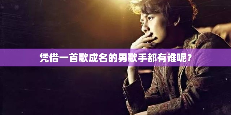 凭借一首歌成名的男歌手都有谁呢？