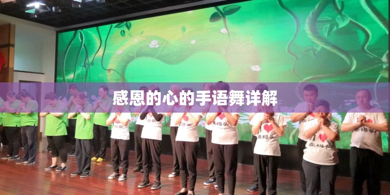 感恩的心的手语舞详解