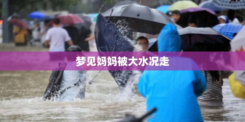 梦见妈妈被大水况走