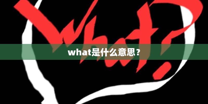 what是什么意思？