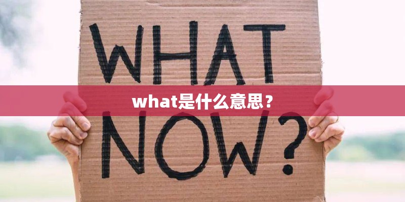 what是什么意思？