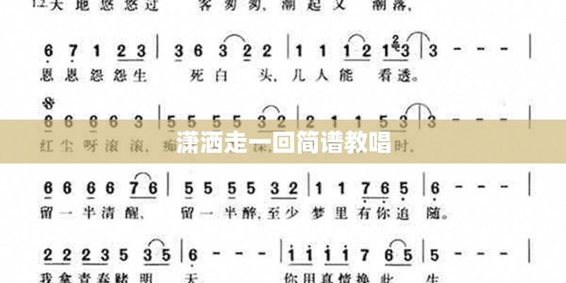 绣球花事记