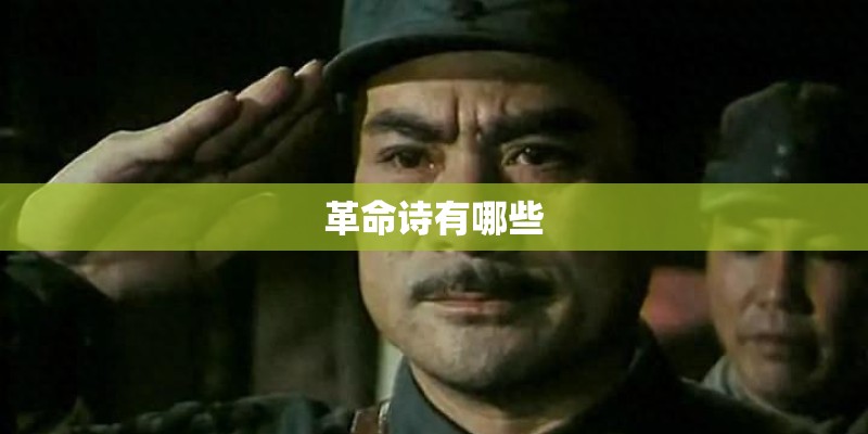 革命诗有哪些