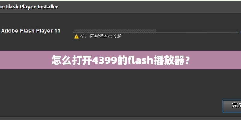 怎么打开4399的flash播放器？