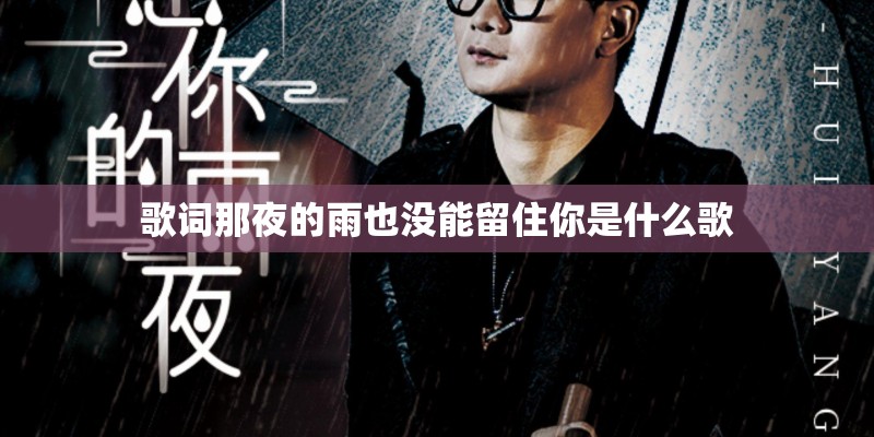 歌词那夜的雨也没能留住你是什么歌