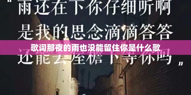 歌词那夜的雨也没能留住你是什么歌