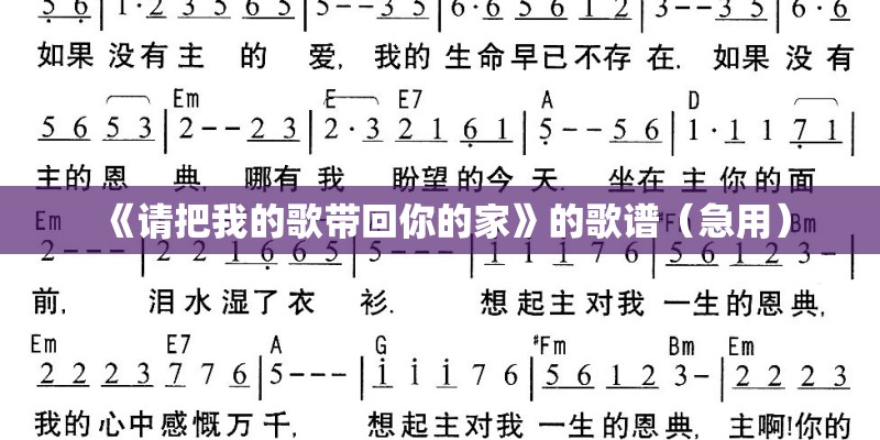 《请把我的歌带回你的家》的歌谱（急用）