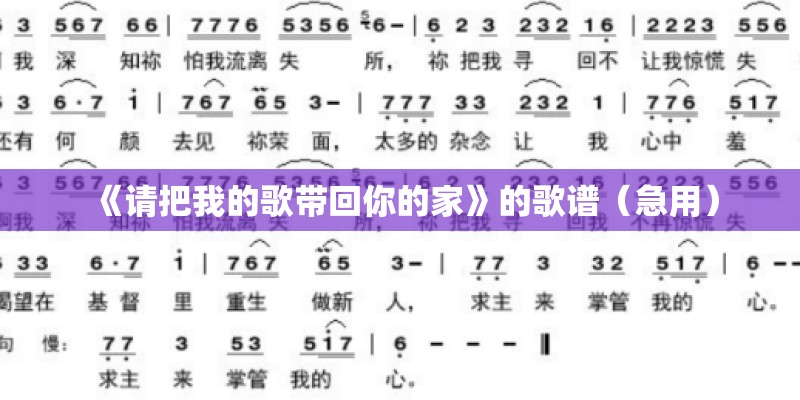 《请把我的歌带回你的家》的歌谱（急用）