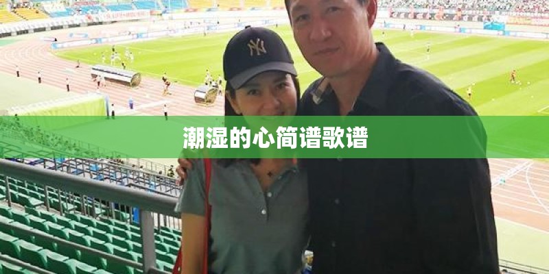 潮湿的心简谱歌谱