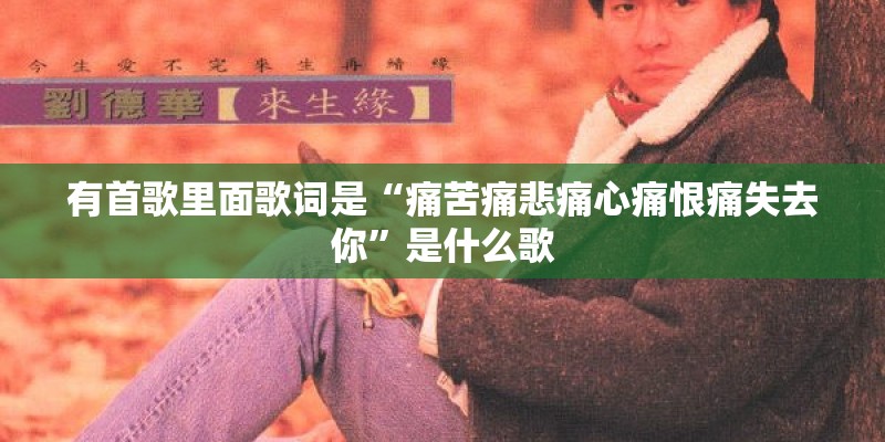 有首歌里面歌词是“痛苦痛悲痛心痛恨痛失去你”是什么歌