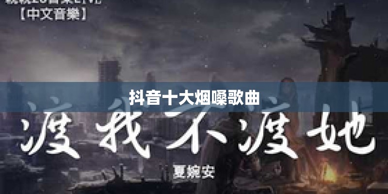 抖音十大烟嗓歌曲
