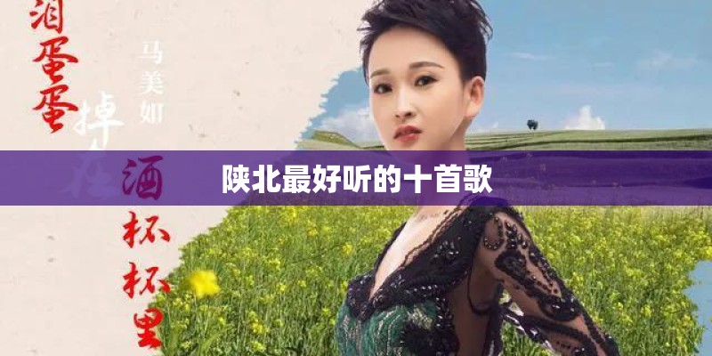 陕北最好听的十首歌