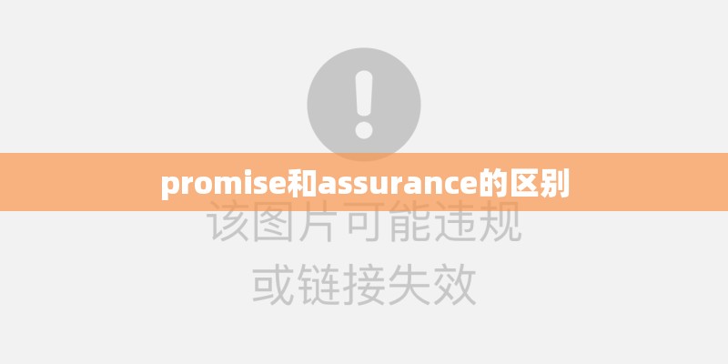 promise和assurance的区别
