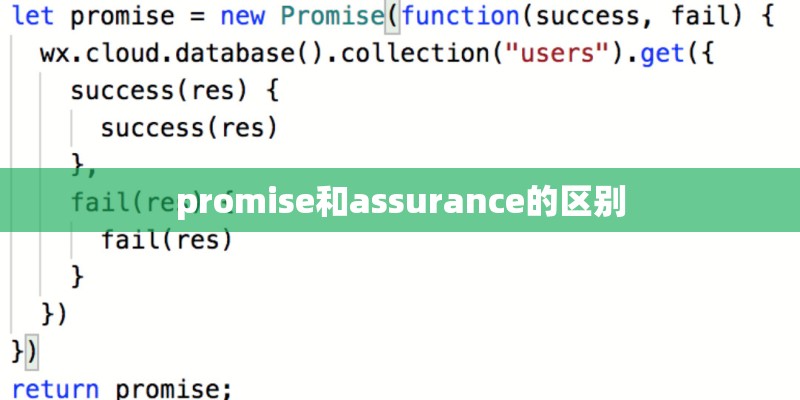 promise和assurance的区别