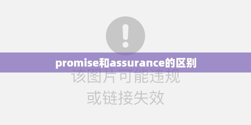 promise和assurance的区别