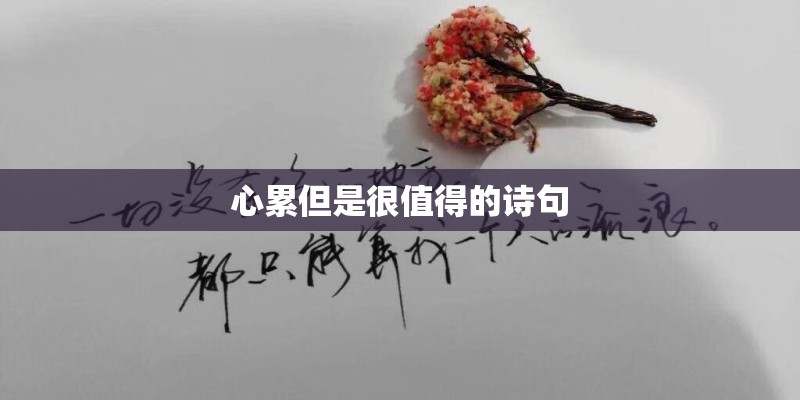 中文在线(天津)文化发展有限公司怎么样？