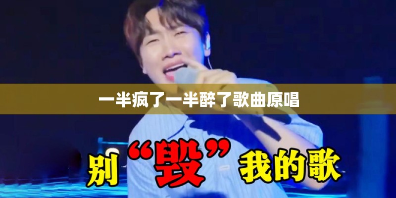一半疯了一半醉了歌曲原唱