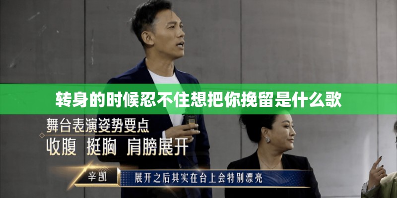 转身的时候忍不住想把你挽留是什么歌