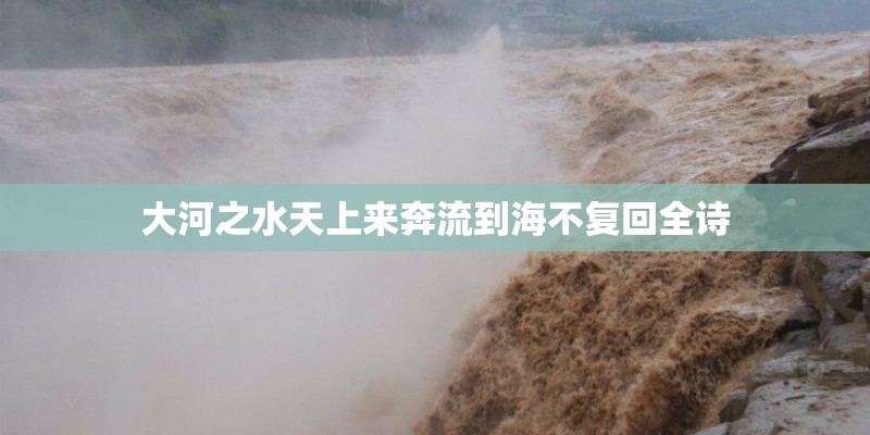 大河之水天上来奔流到海不复回全诗
